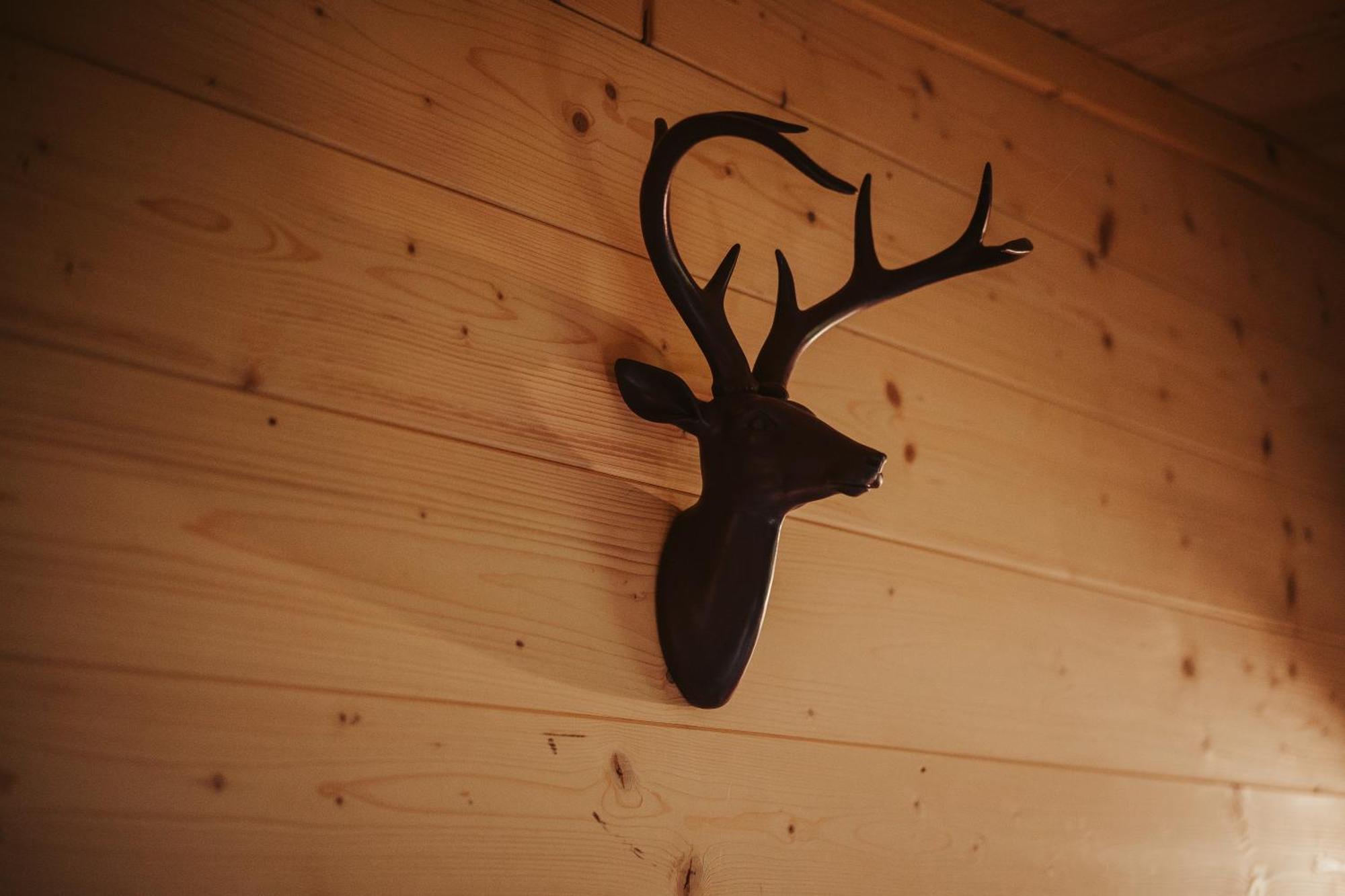 Treehouse Glamping Tucapy